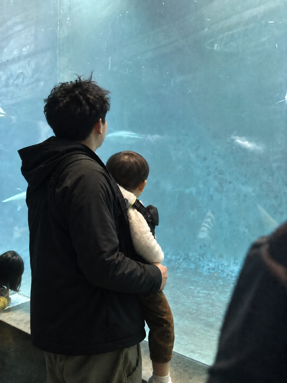 子どもを抱き、水槽を眺めるしばおの後ろ姿のイメージ